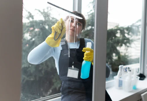 Nettoyage de vitres intérieures et extérieures à Champey